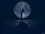 Strana notte