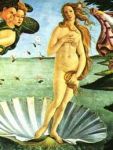 La tua Venere