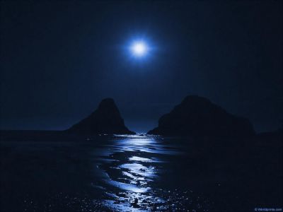 Notte