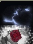 Un ritaglio d'amore