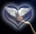 L'amore incontenibile