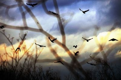 Free to be  