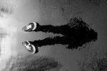 Into the dark