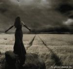 Tra vento e polvere  