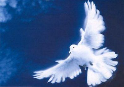 Spirito di pace