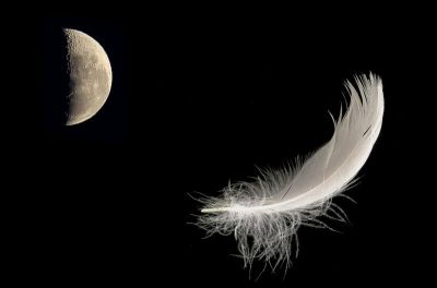 Notte