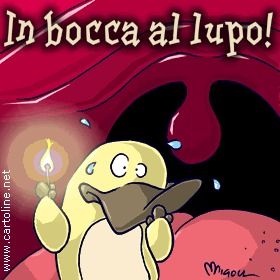 In bocca al lupo