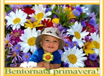 Primavera