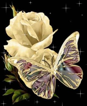 Come un fiore  