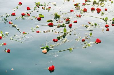 Rose alla deriva