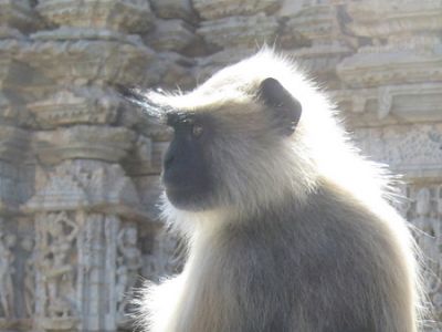 Autoritratto