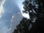 Bagliori