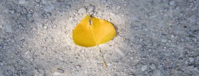 Ottobre