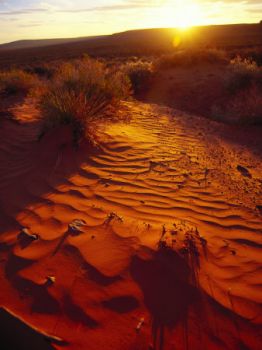 Deserto  