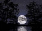 Il silenzio di Selene  