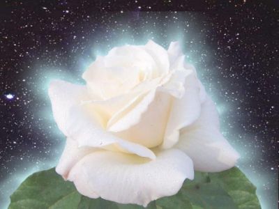 Polvere di stelle