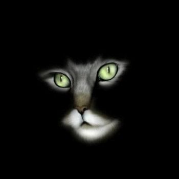 Bastet