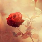 La tua poesia