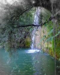 Verso il Fiume