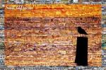 Il Mosaico