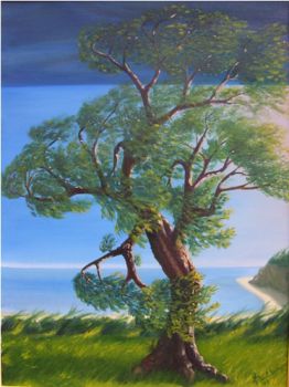 Parlano gli alberi