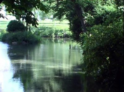 Vive il fiume
