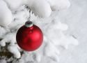 Buon Natale anche a te