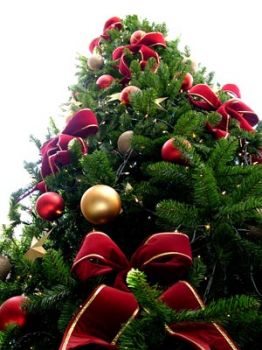 Sotte all'albere 'e Natale