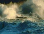 Il sapore del mare