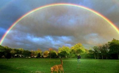 Arcobaleno