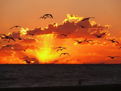 Tramonto