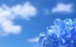 Azzurro senza fine