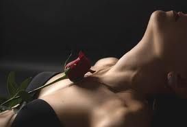 Petali di rosa