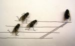 Sono la mosca appiccicata al soffito di settembre  