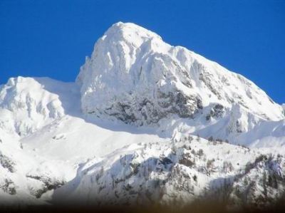 In cerca del sole  