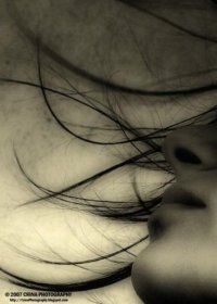 Shards  