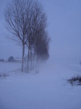 Della nebbia il silenzio