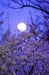 Sul viale