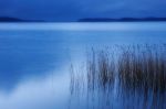 Le verit dell'essere