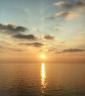 Sole