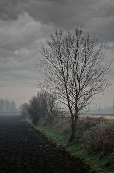 Tristesse