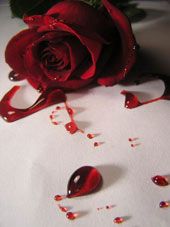 Curs de rubis