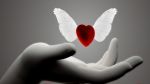 Amour, va- t- en!