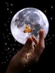 Questa notte  