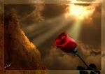 La stagione dell'amore  