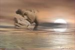 S'allaga il mare al vederti