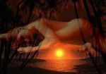 Pelle rovesciata al sole