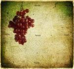 Il nettare degli dei