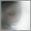 Perfida luce