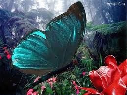 Il poeta ed il fiore  